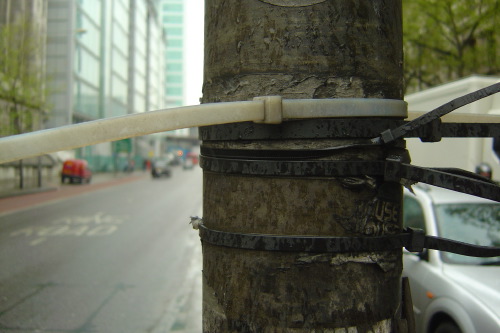 A weathered grey-brown lamppost on a London pavement, ringed and bound with cable ties: a thick white tie cinched horizontally, several narrow black ties pulled tight in a stack below. The hardware is left behind from signs or fixings long since removed. Behind, a white van and the glass-and-concrete office buildings of a wide street, with GIVE WAY road markings receding into the distance.