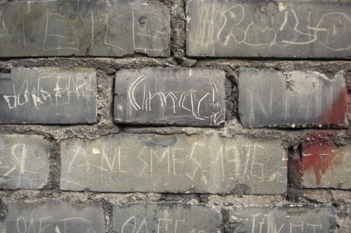 A close view of a Tallinn brick wall, the dark blue-grey bricks scratched all over with names, dates and short messages: 'JA NES MES 1976' carved into the lower course, faint 'Inncl' scratched into a brick at centre, dozens more scrapes and initials in the bricks around them. A long, slow conversation cut into the surface itself, decade by decade.